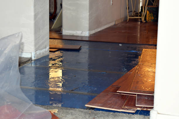 Professional Water Damage Restoration technician working in Nazareth, TX