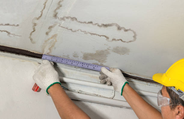 Reliable Water Damage Restoration contractor in Nazareth, TX by Water Damage Irwin